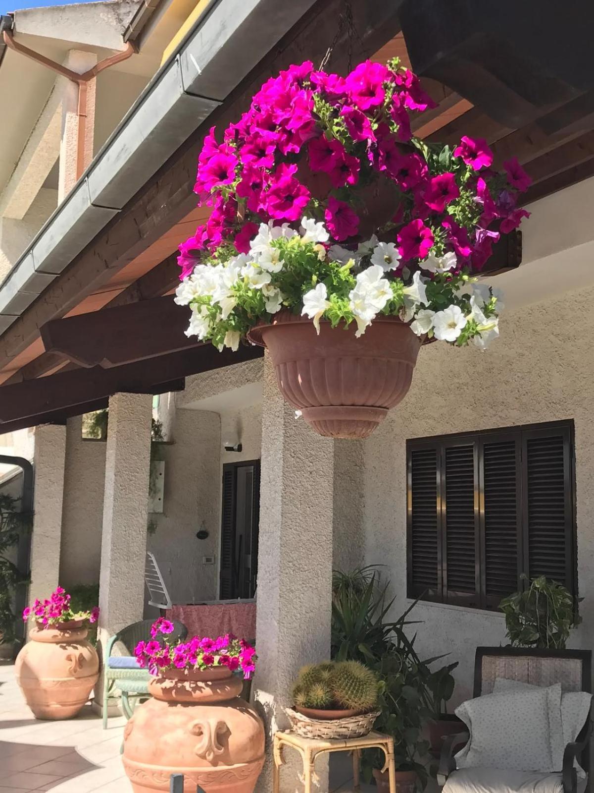 Hotel B&B Rispescia Grosseto Eksteriør bilde