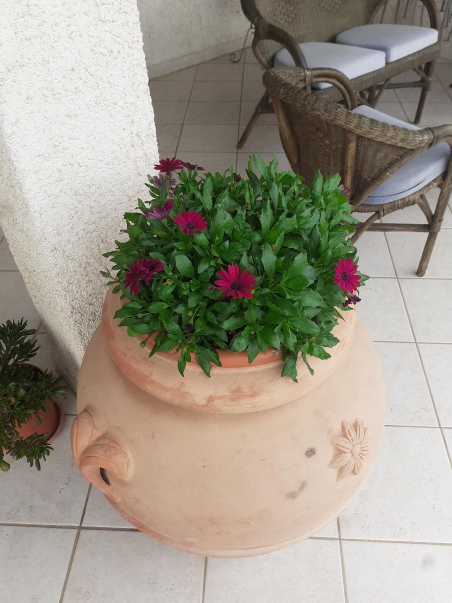 Hotel B&B Rispescia Grosseto Eksteriør bilde