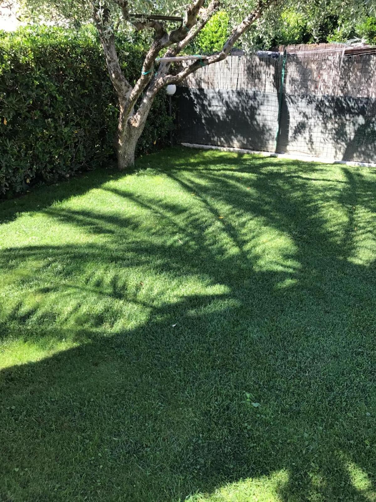 Hotel B&B Rispescia Grosseto Eksteriør bilde