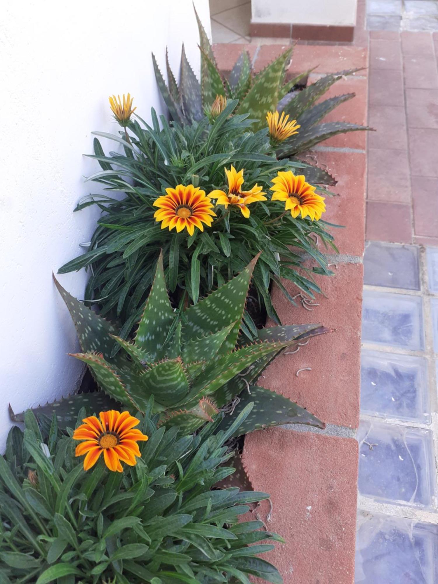Hotel B&B Rispescia Grosseto Eksteriør bilde