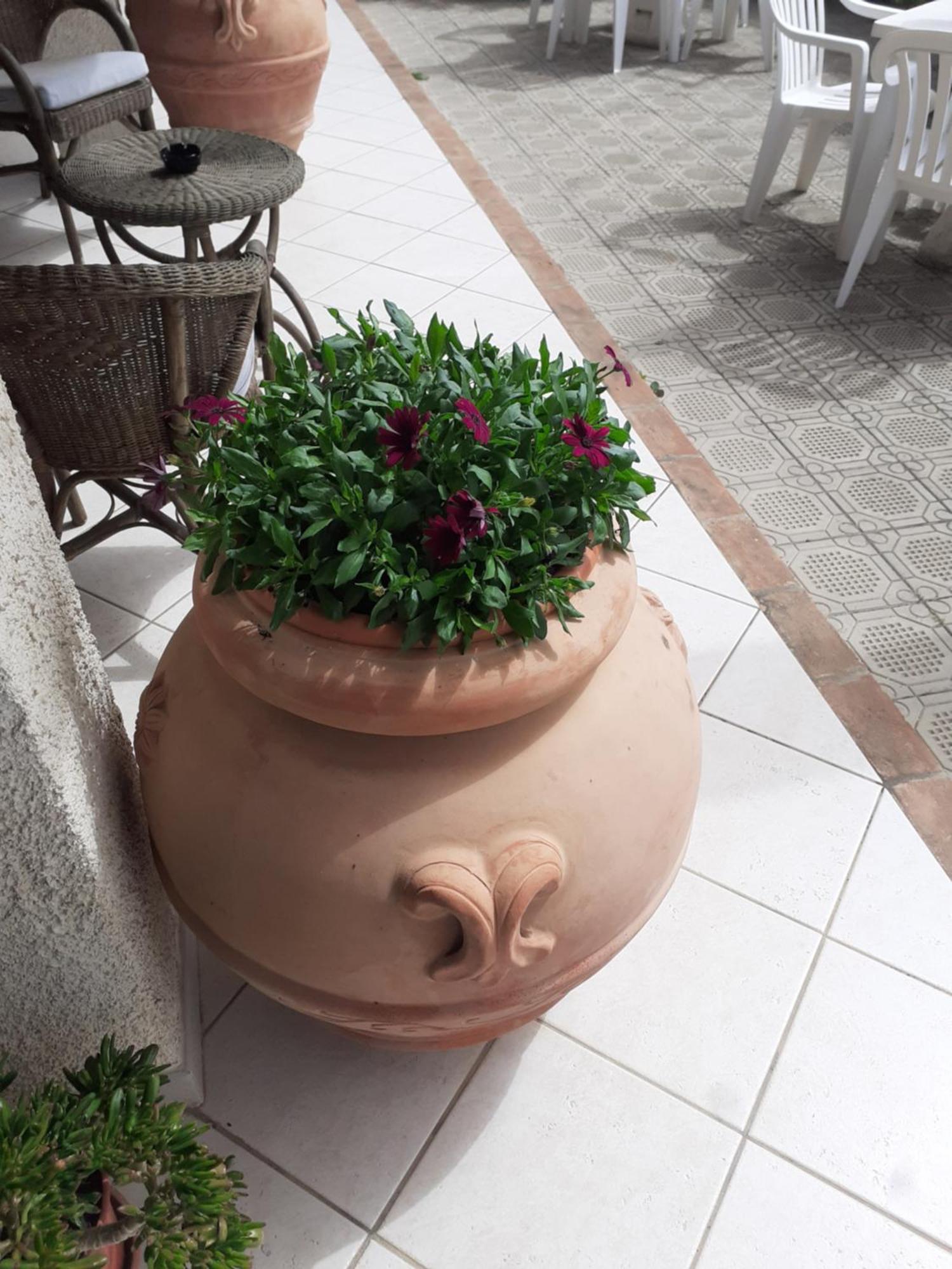 Hotel B&B Rispescia Grosseto Eksteriør bilde