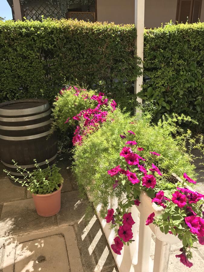Hotel B&B Rispescia Grosseto Eksteriør bilde