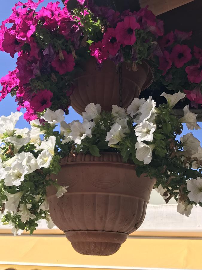 Hotel B&B Rispescia Grosseto Eksteriør bilde