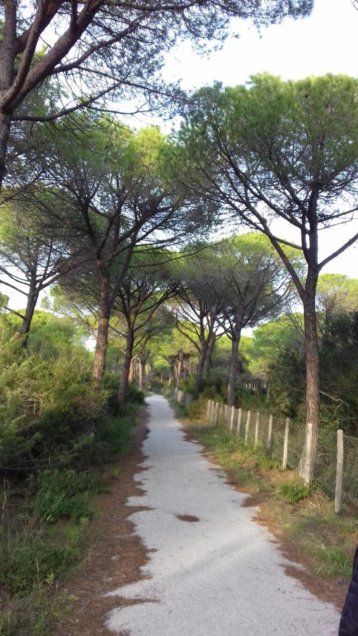 Hotel B&B Rispescia Grosseto Eksteriør bilde